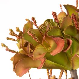 KW/FLORE/756/ZIE ZIEL+C.RÓŻO