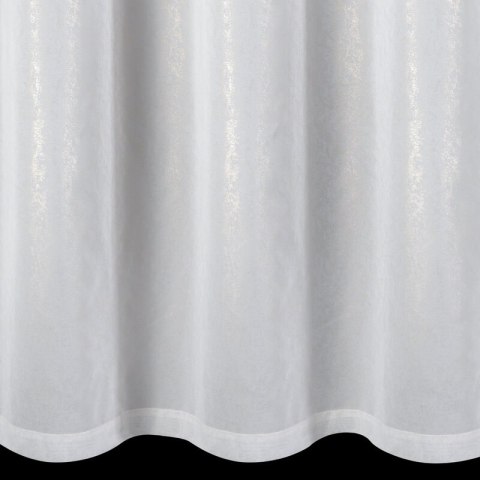 FIR/MISSY/B+SZAM 300X250 PRZEL