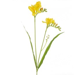 KW/NATU/340/ŻÓŁT ŻÓŁT+ZIEL