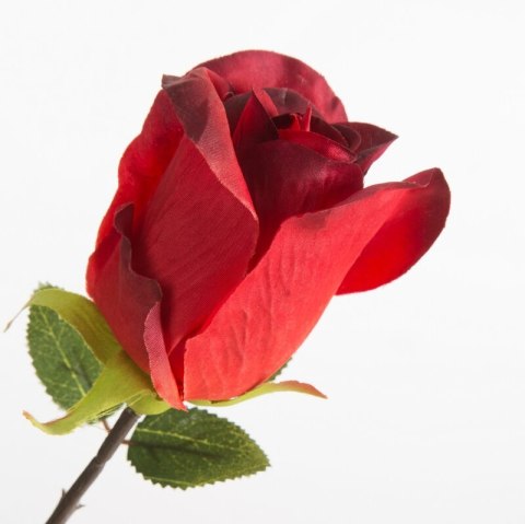 KW/NATU/430/CZER CZER