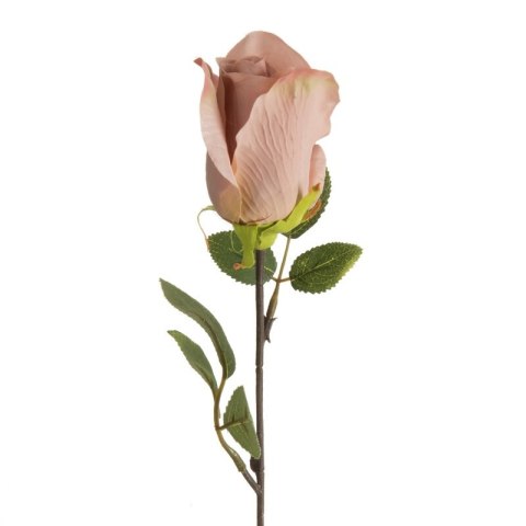 KW/NATU/430/PUDE PUDE