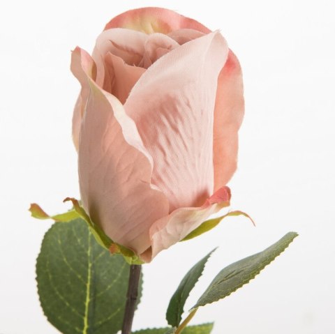 KW/NATU/430/PUDE PUDE