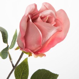 KW/NATU/430/RÓŻ RÓŻO