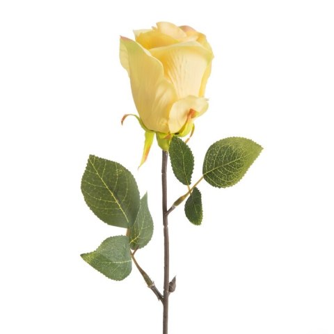 KW/NATU/430/ŻÓŁ ŻÓŁT