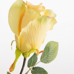 KW/NATU/430/ŻÓŁ ŻÓŁT