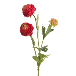 KW/NATU/432/CZER CZER+ZIEL