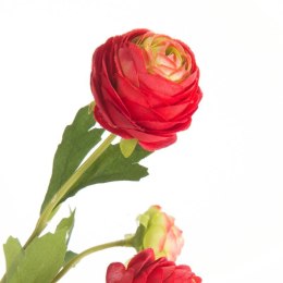 KW/NATU/432/CZER CZER+ZIEL