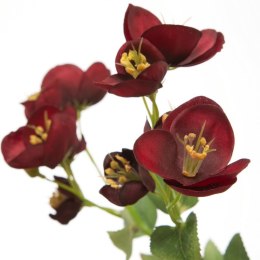 KW/NATU/433/BORD BORD