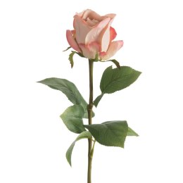 KW/NATU/436/PUDE PUDE