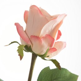 KW/NATU/436/PUDE PUDE