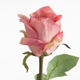 KW/NATU/436/RÓŻ RÓŻO