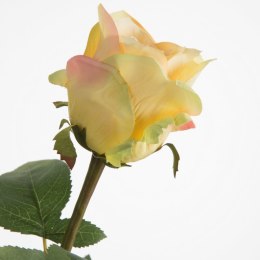 KW/NATU/436/ŻÓŁ ŻÓŁT