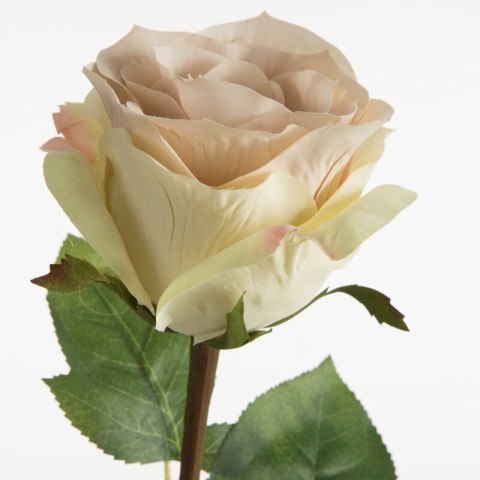 KW/NATU/437/K K+J.BE