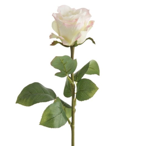 KW/NATU/437/K+R K+RÓŻO