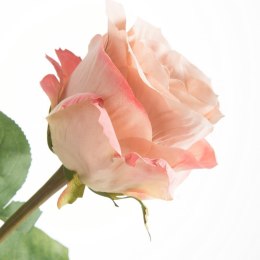 KW/NATU/437/PUDE PUDE