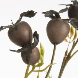 KW/NATU/438/BRĄ BRĄZ