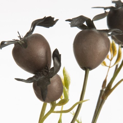 KW/NATU/438/BRĄ BRĄZ