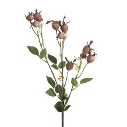 KW/NATU/438/PUDE PUDE