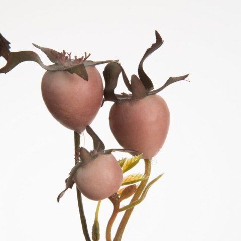 KW/NATU/438/PUDE PUDE