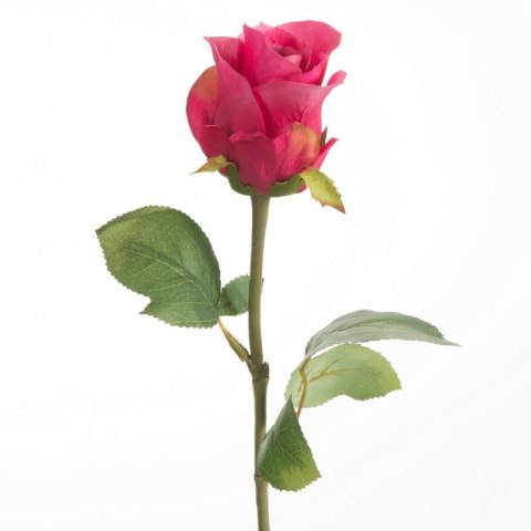 KW/NATU/440/AMA AMAR