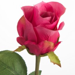 KW/NATU/440/AMA AMAR