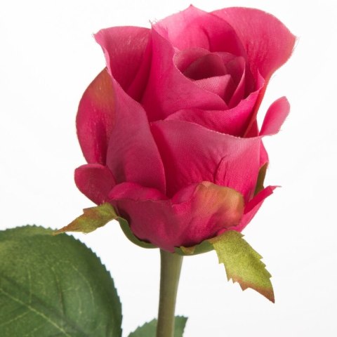 KW/NATU/440/AMA AMAR