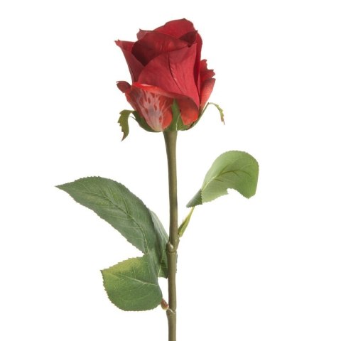 KW/NATU/440/CZER CZER