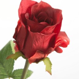 KW/NATU/440/CZER CZER