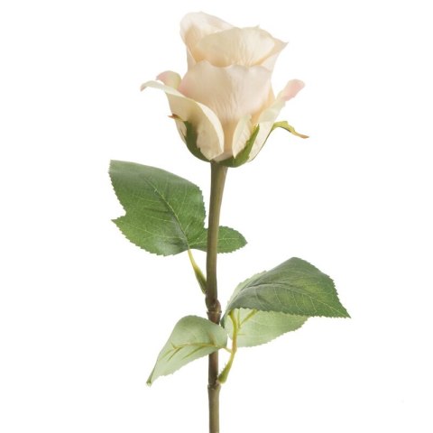 KW/NATU/440/NATU NATU