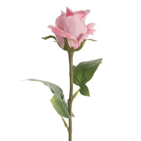 KW/NATU/440/RÓŻ RÓŻO