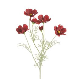 KW/NATU/442/CZER CZER