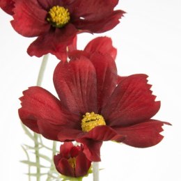 KW/NATU/442/CZER CZER