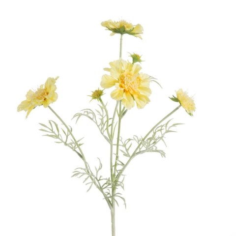 KW/NATU/445/ŻÓŁT ŻÓŁT