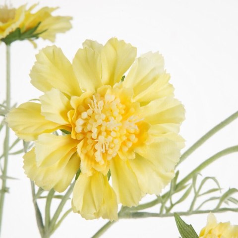 KW/NATU/445/ŻÓŁT ŻÓŁT