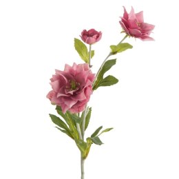 KW/NATU/449/RÓŻ RÓŻ