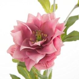 KW/NATU/449/RÓŻ RÓŻ