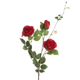 KW/NATU/450/CZER CZER