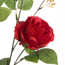 KW/NATU/450/CZER CZER