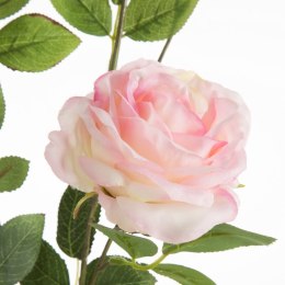 KW/NATU/450/J.R J.RÓŻO