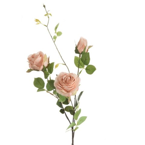 KW/NATU/450/PUDE PUDE