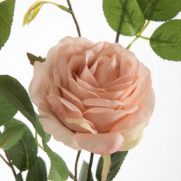 KW/NATU/450/PUDE PUDE