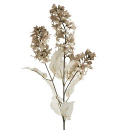 KW/NATU/451/BEŻO BEŻO+B