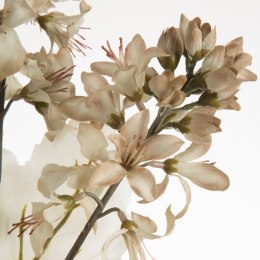 KW/NATU/451/BEŻO BEŻO+B