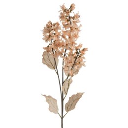 KW/NATU/451/J.R J.RÓŻO