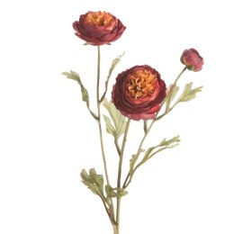 KW/NATU/452/BOR BORD+POMA