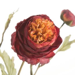 KW/NATU/452/BOR BORD+POMA