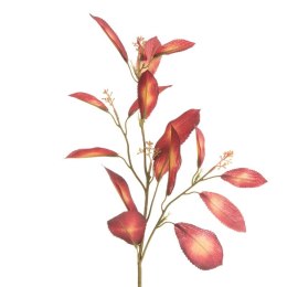 KW/NATU/453/BOR BORD+ŻÓŁT