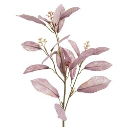 KW/NATU/453/FIOL FIOL