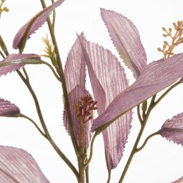 KW/NATU/453/FIOL FIOL