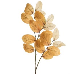 KW/NATU/455/ŻÓŁ ŻÓŁT+J.BR